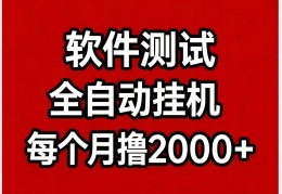 软 件 测 试全自动挂机
